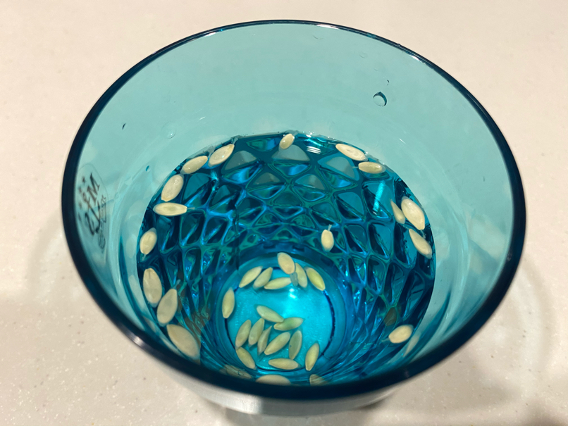 Cucumber seeds submerged in water