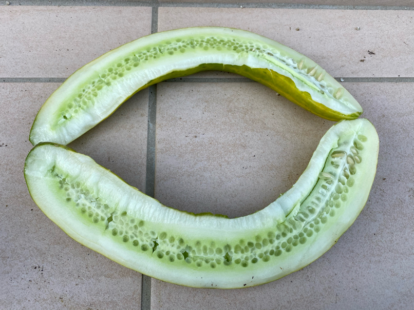 Cut opened cucumber for seeding