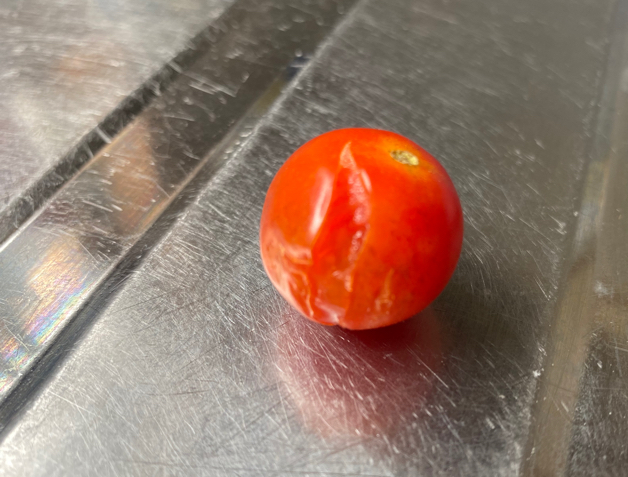 完熟して割れたトマト