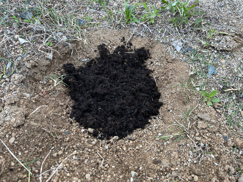 穴を掘って培養土を入れる