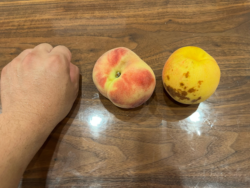 桃のサイズ感比較